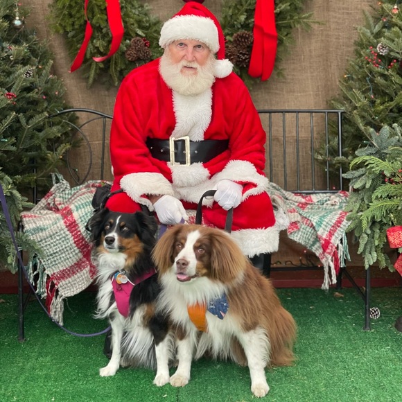 Meet your Posher, Awds-N-Ends! - Picture 8 of 8